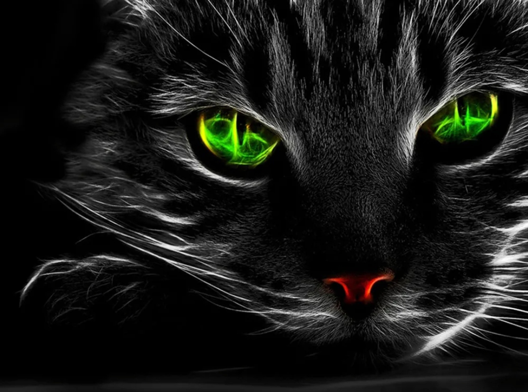 Привет тебе от нас, Чеширский кот!