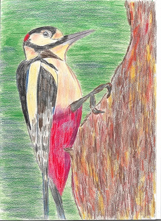 Августовское