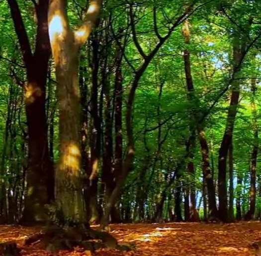 Иная Оптика - спокойно любуюсь...