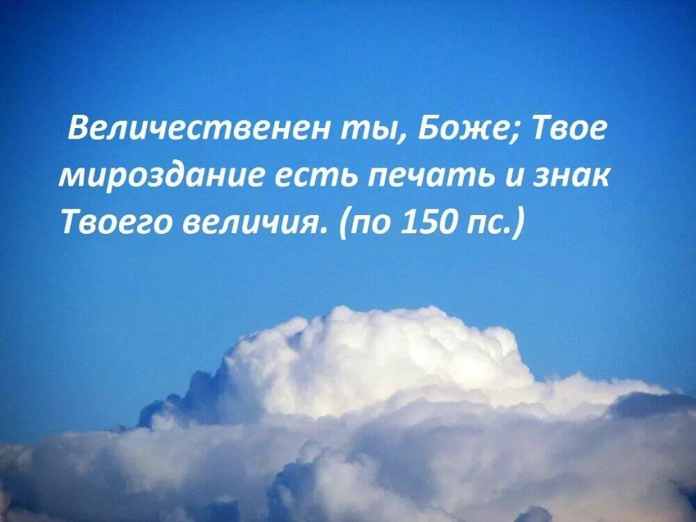 Симба это все будет твоим. Твои владения. Уровень английского прикол. Huanfu. Твои владения.