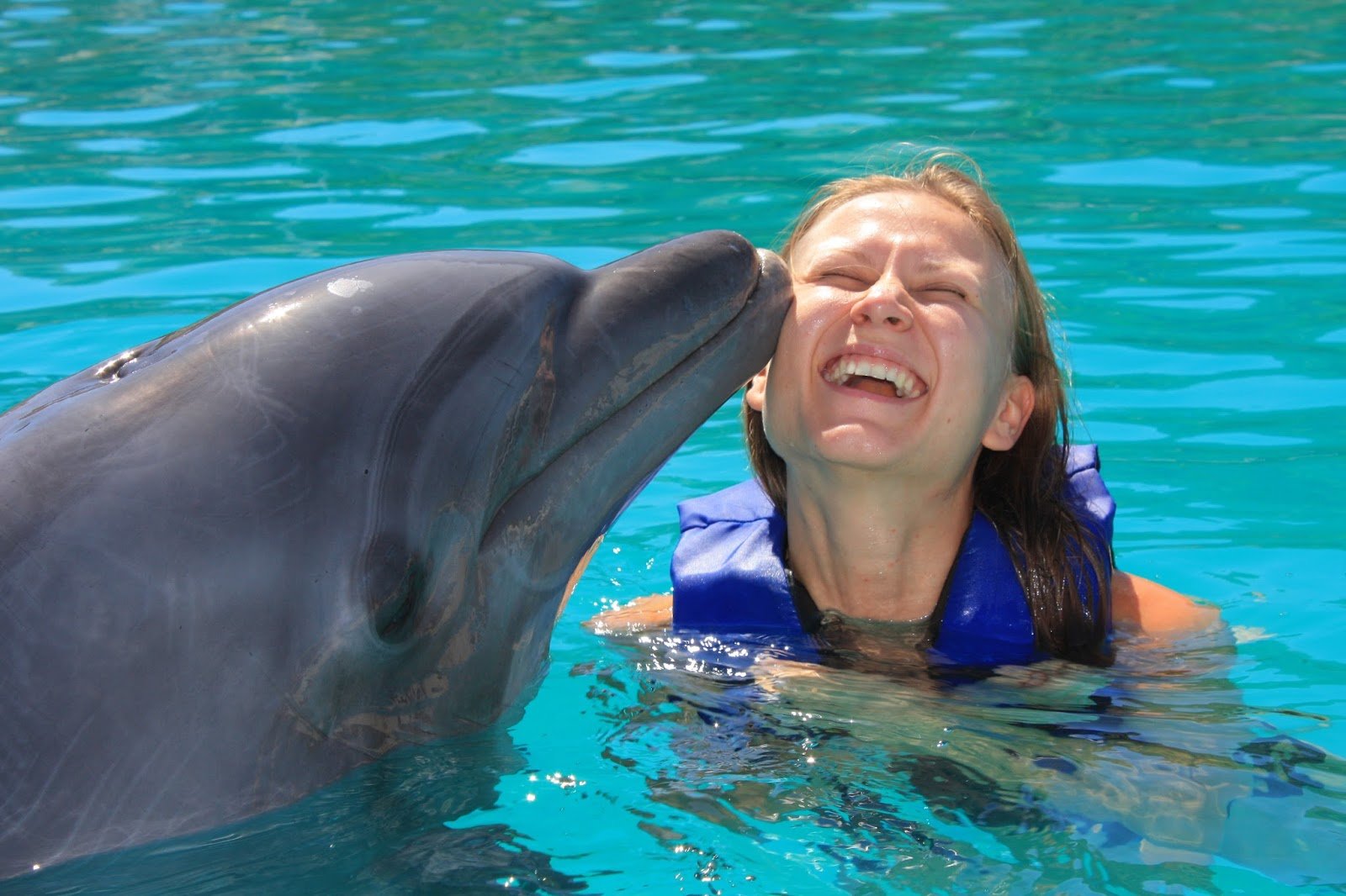 Общение дельфинов между собой. Общение дельфинов. Поцелуй дельфина. Радостные дельфины. Семья дельфинов.