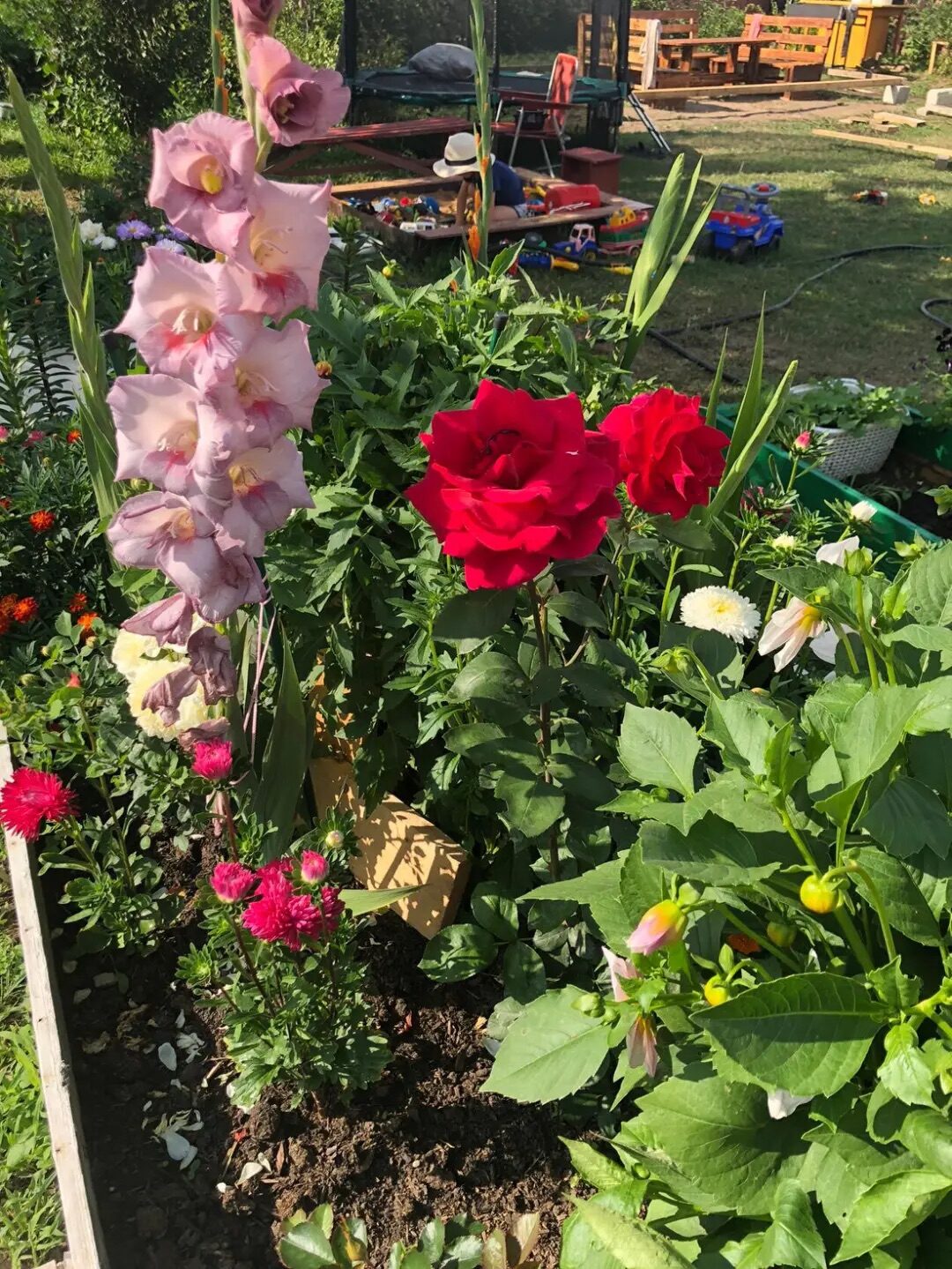 Дачная, весёлая, счастливая пора!! (Вера Лабзина) / Стихи.ру