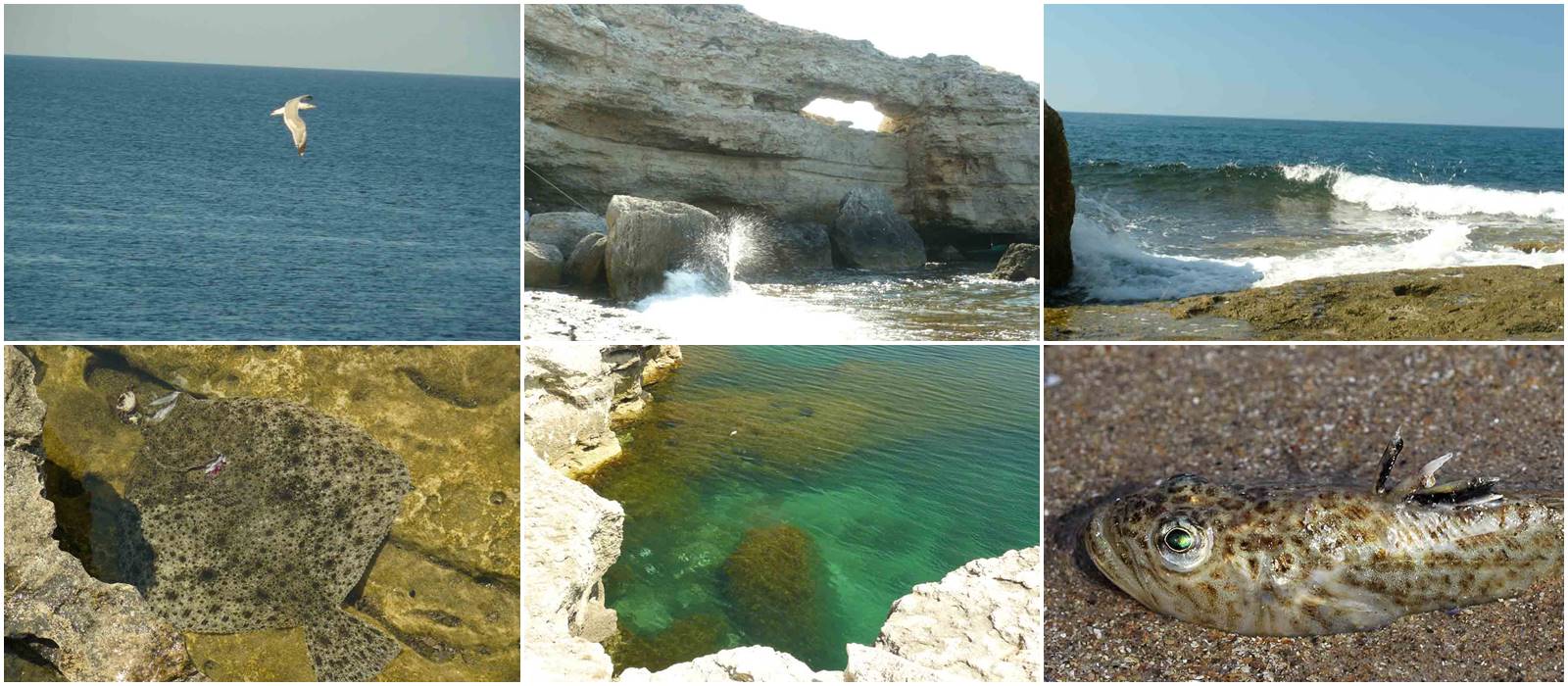 А на Атлеше тишина...