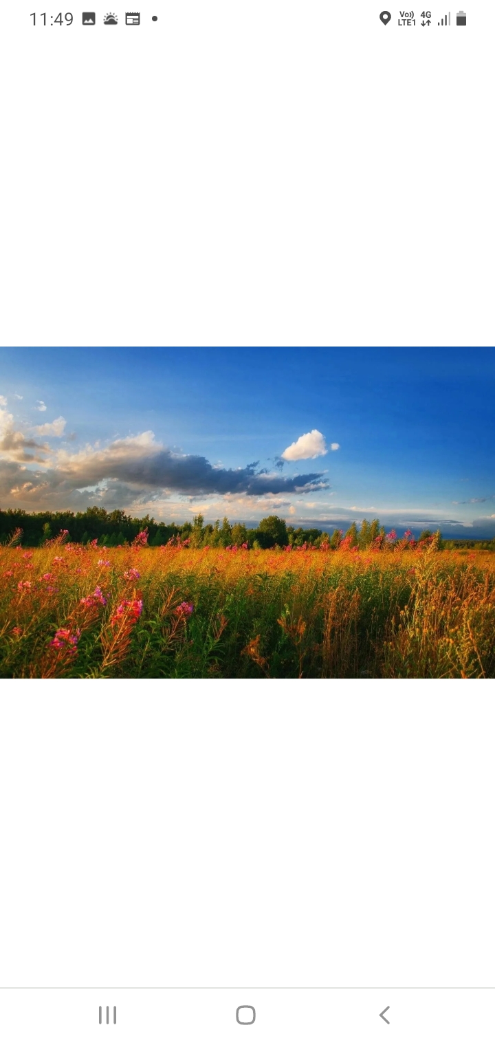 Очень хочется просто жить... 10. 08. 2023г