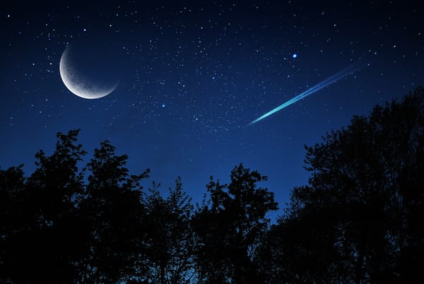 Волшебные ночи