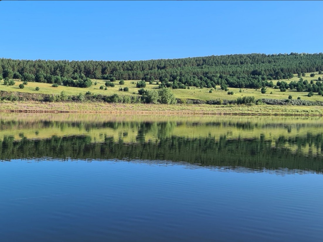 В дали от города