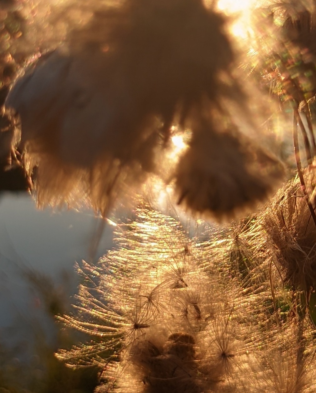 Отпирая неведомое