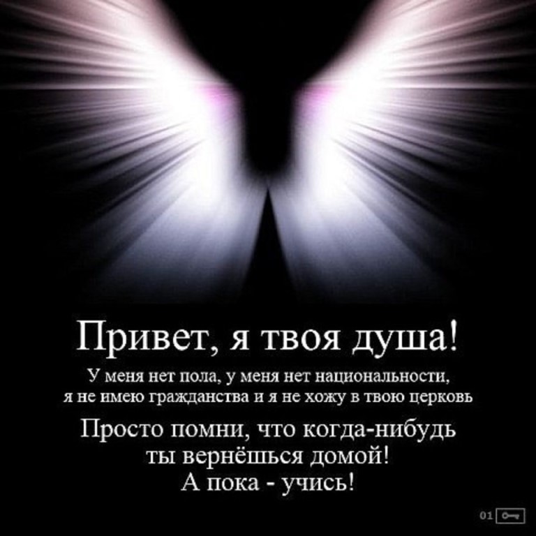 Душа в душу пример предложения Когда скулит твоя душа... (Татьяна Кудряшова 3) / Стихи.ру