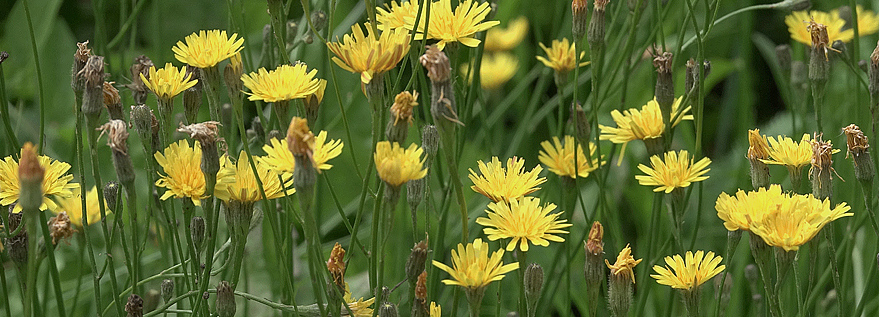 Кириллу Хуторецкому