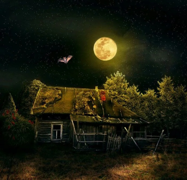 Дом на луне картинки. Ночь в деревне. Лунная ночь в деревне. Ночной пейзаж с домом. Деревенский дом ночью.