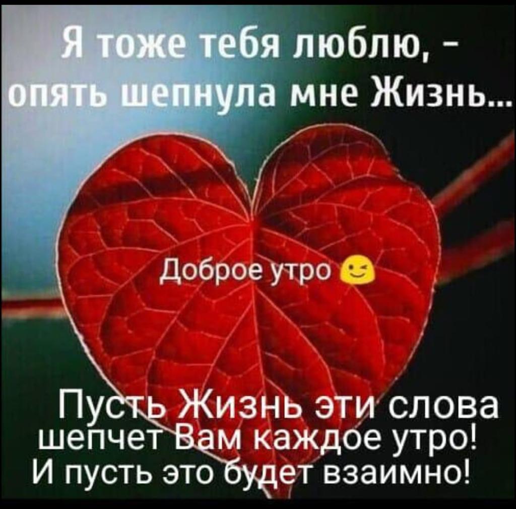 Без оплётки