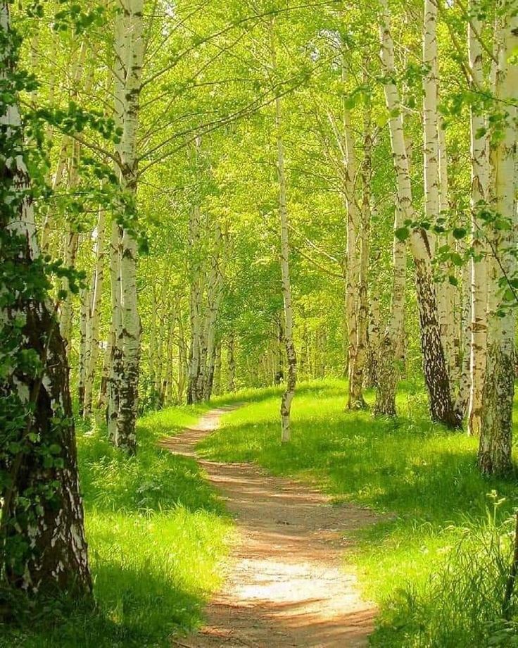 Спасибо лето