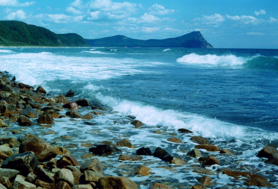 бухта шамара японское море. владивосток бухта шамора японское море. японское море владивосток. побережье владивостока. мыс гамова бухта витязь.