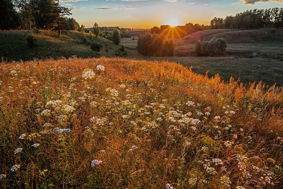 И новый день, омыв зарю