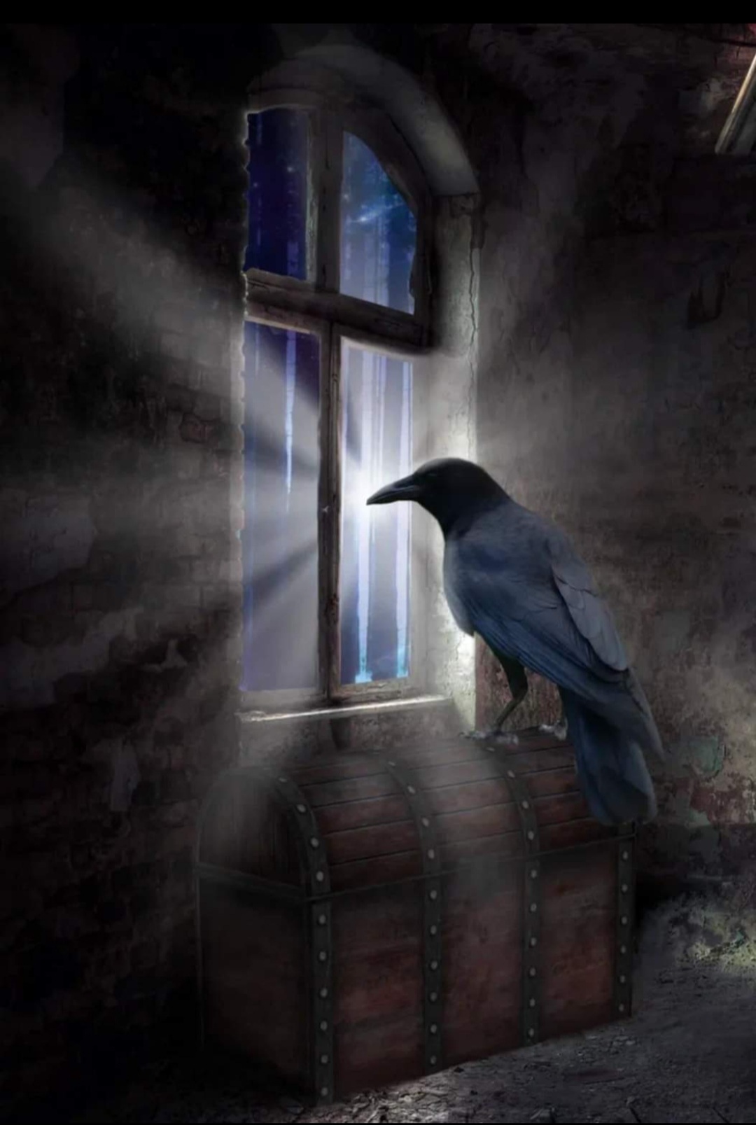 Ворона стучит в окно. Мистические вороны. Ворон мистика. Мистические птицы. Птица мистика.