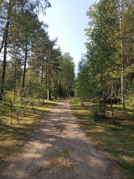 Аллея памяти