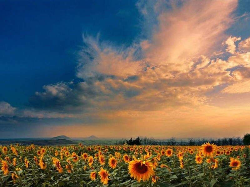 Словно тогда