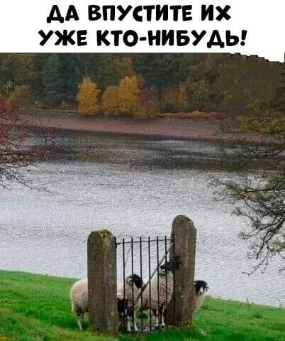 Диалог у ворот