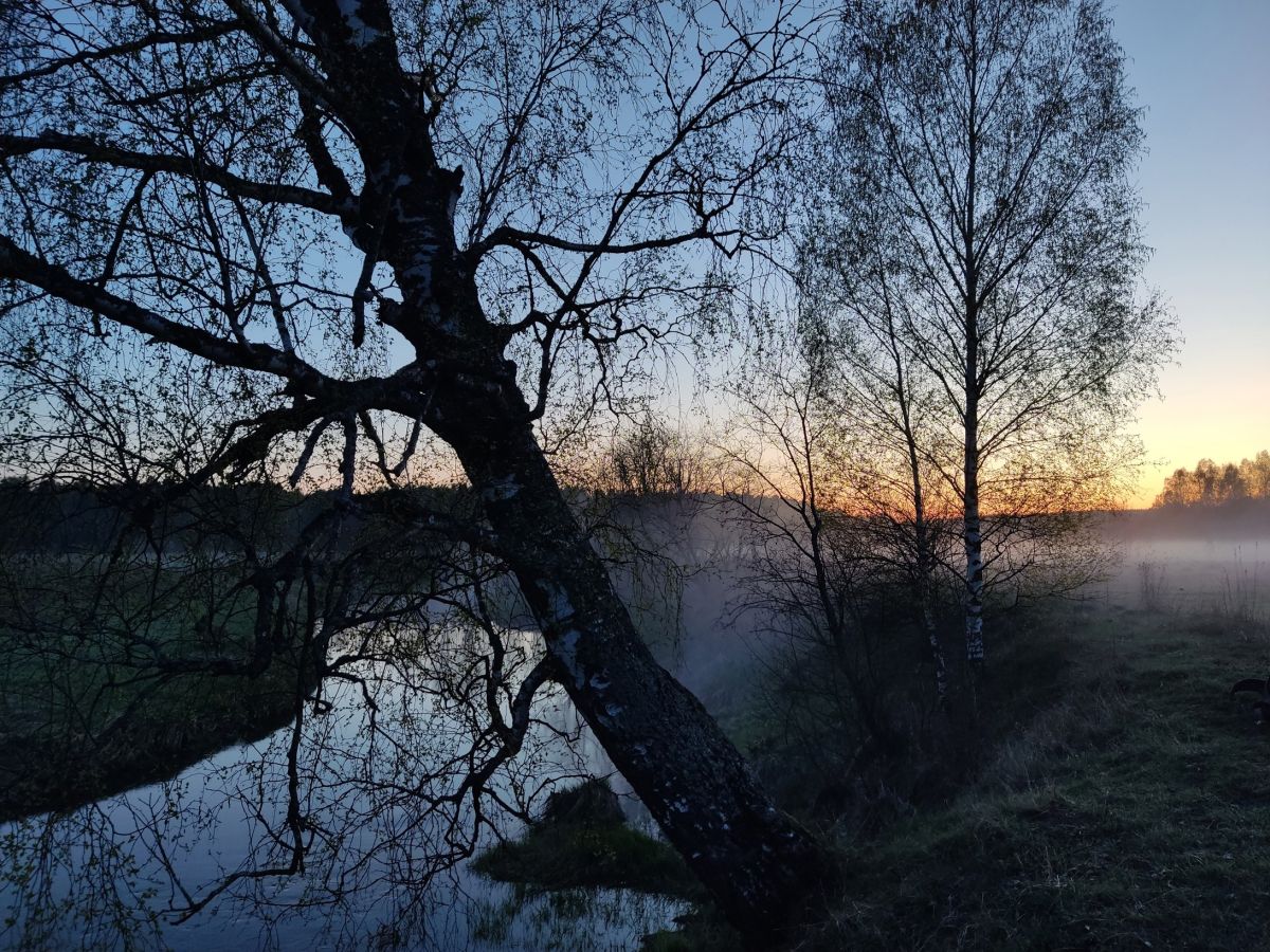 Там, где закат встречается с туманом