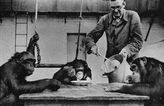 Зверинец пытается выговориться