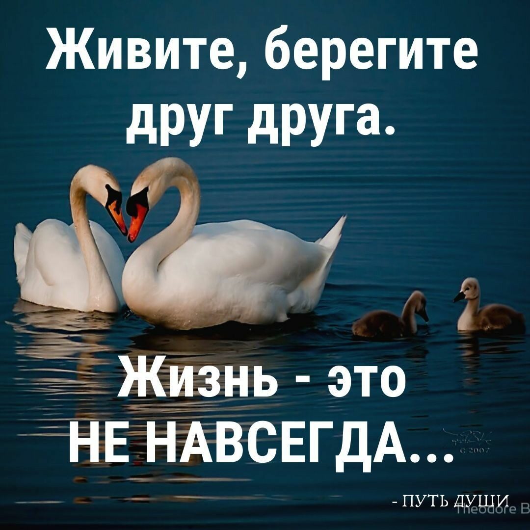 береги себя и свою семью