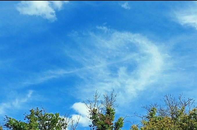 Надо мной уснуло... Небо