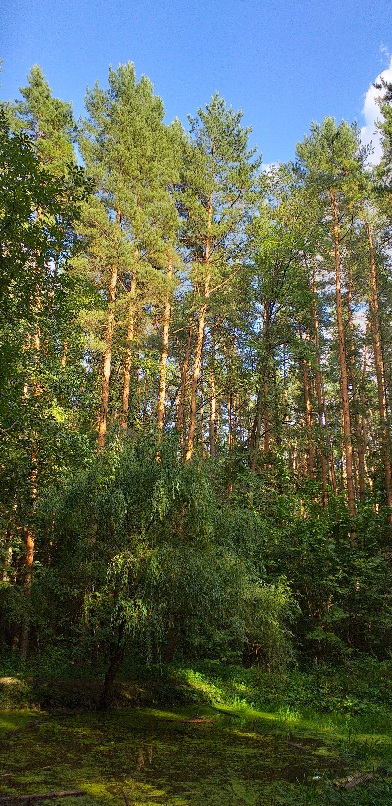 Повеяло прохладой
