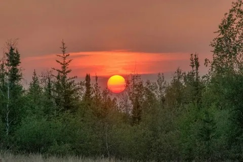 Садится солнышко за лесом