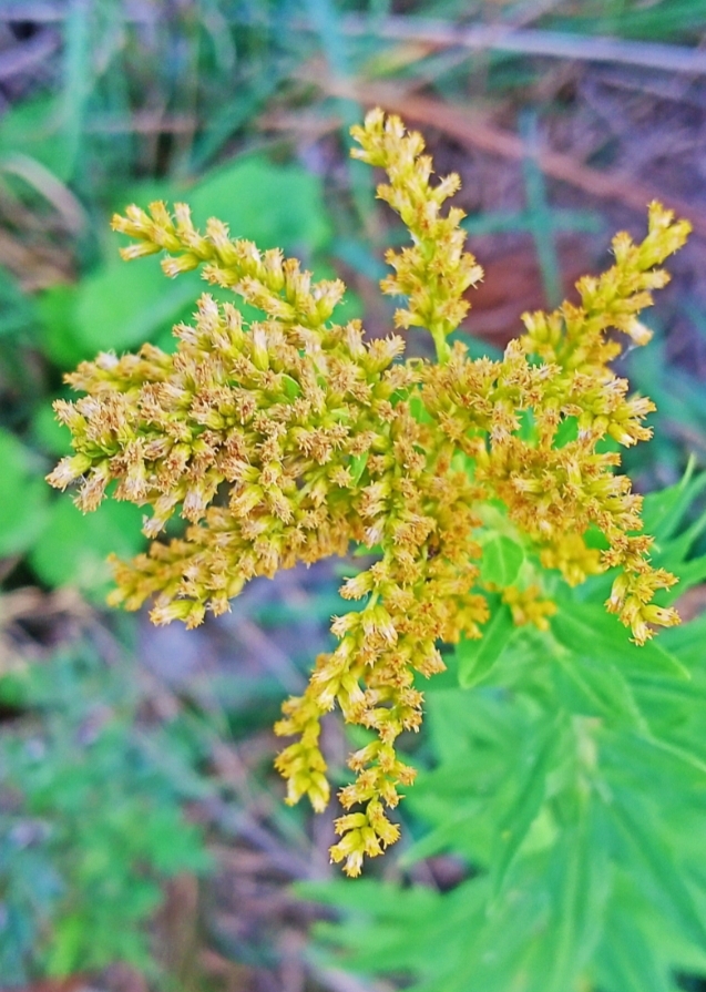Поздняя осень, начало зимы