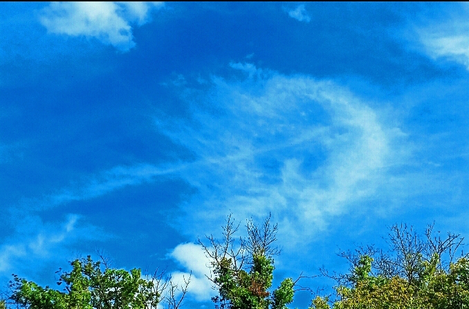 Пустите меня за пиксели