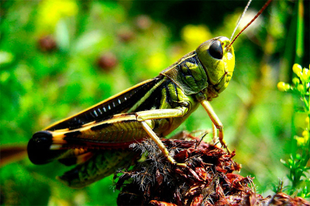 Добрая примета