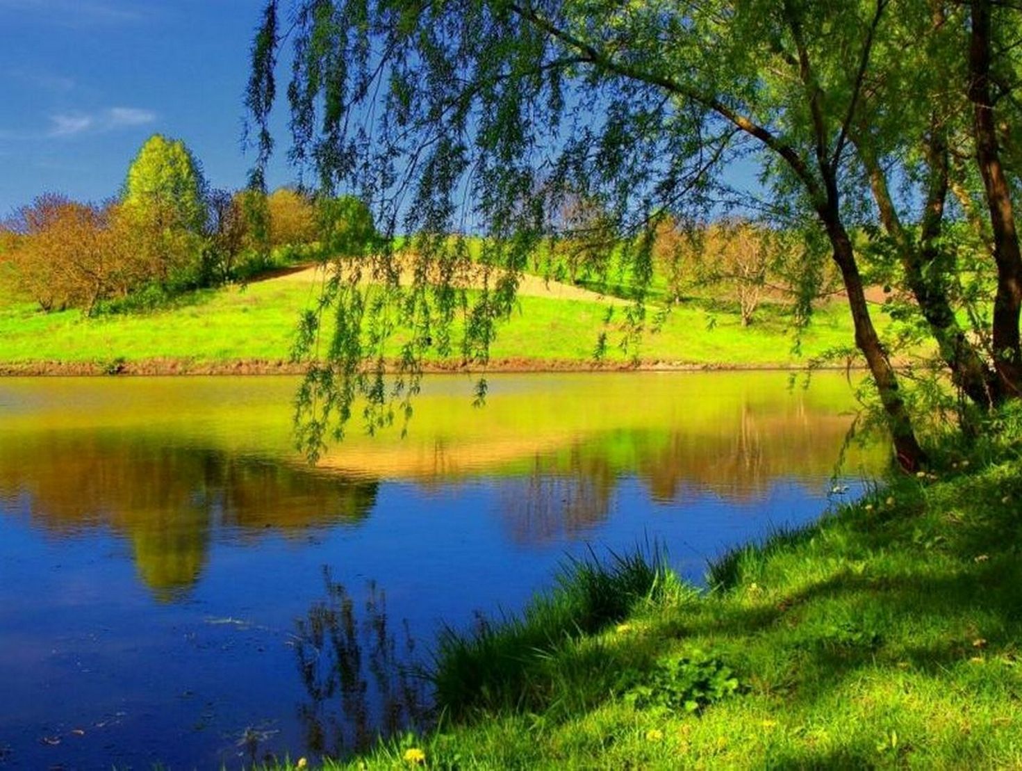 Лето природа красивые
