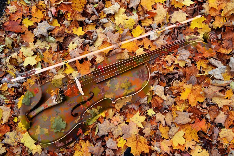 Осенние скрипки. Скрипка осень. Скрипка осенние листья. Скрипка в осенней листве. Музыкальные инструменты осень.