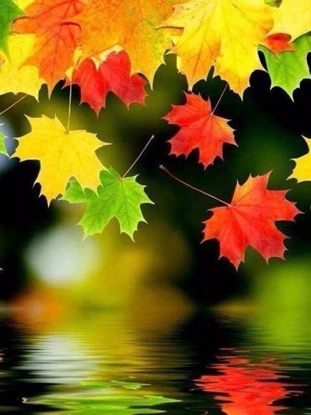 Годы летят...