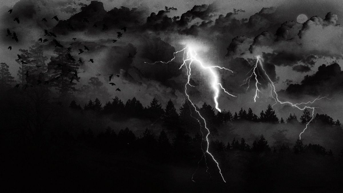 Скрасили тучи вороны чёрные