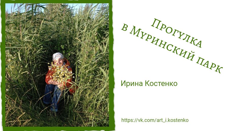 Прогулка в Муринский парк