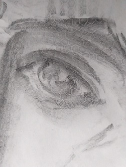 Все реки впадают в море