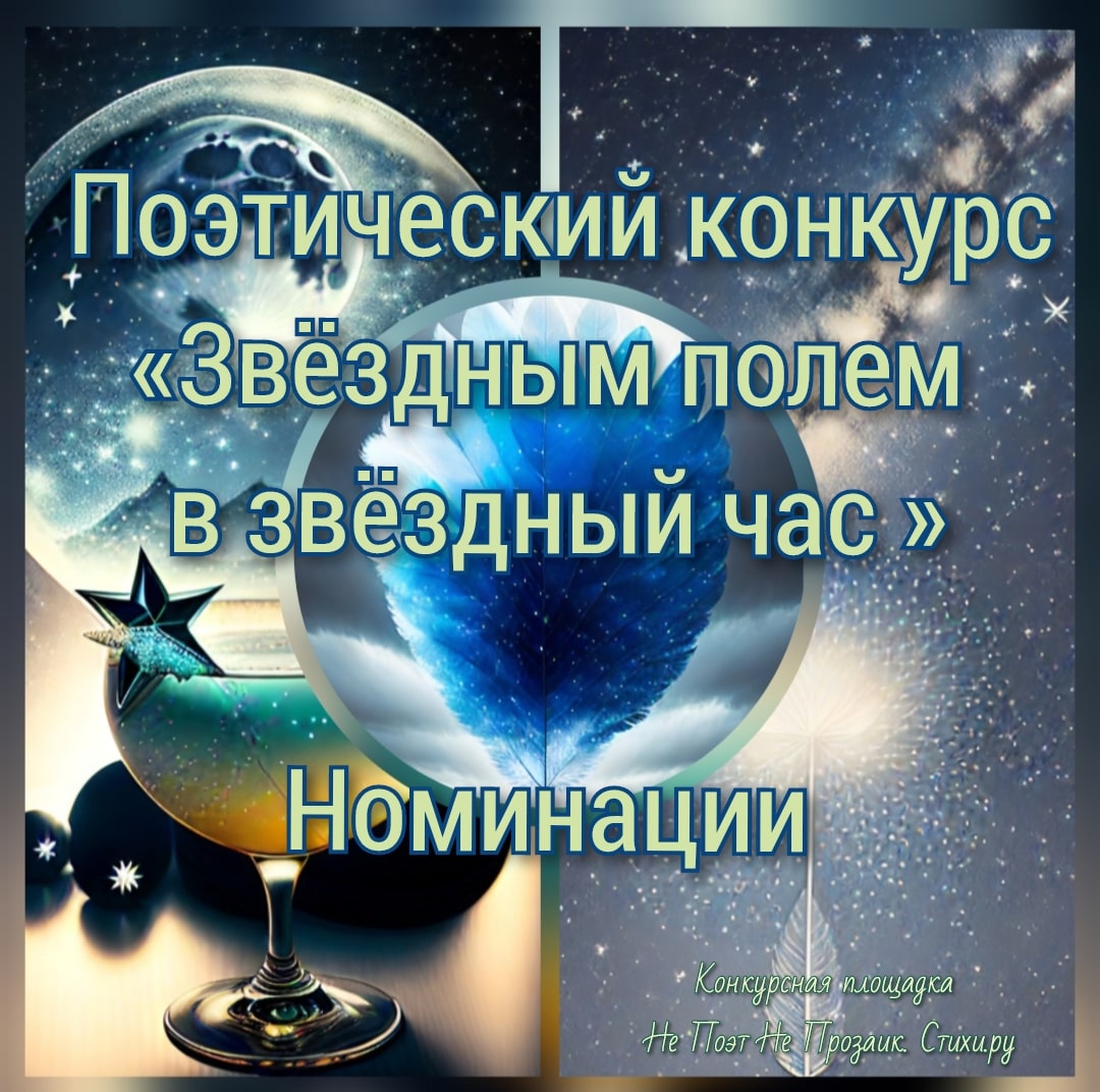 Звёздный конкурс. Номинации