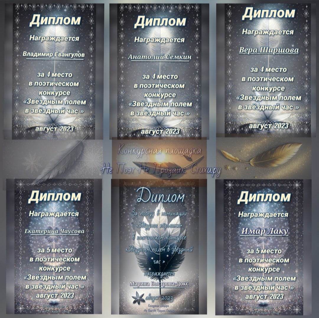 Дипломы за 4, 5 места