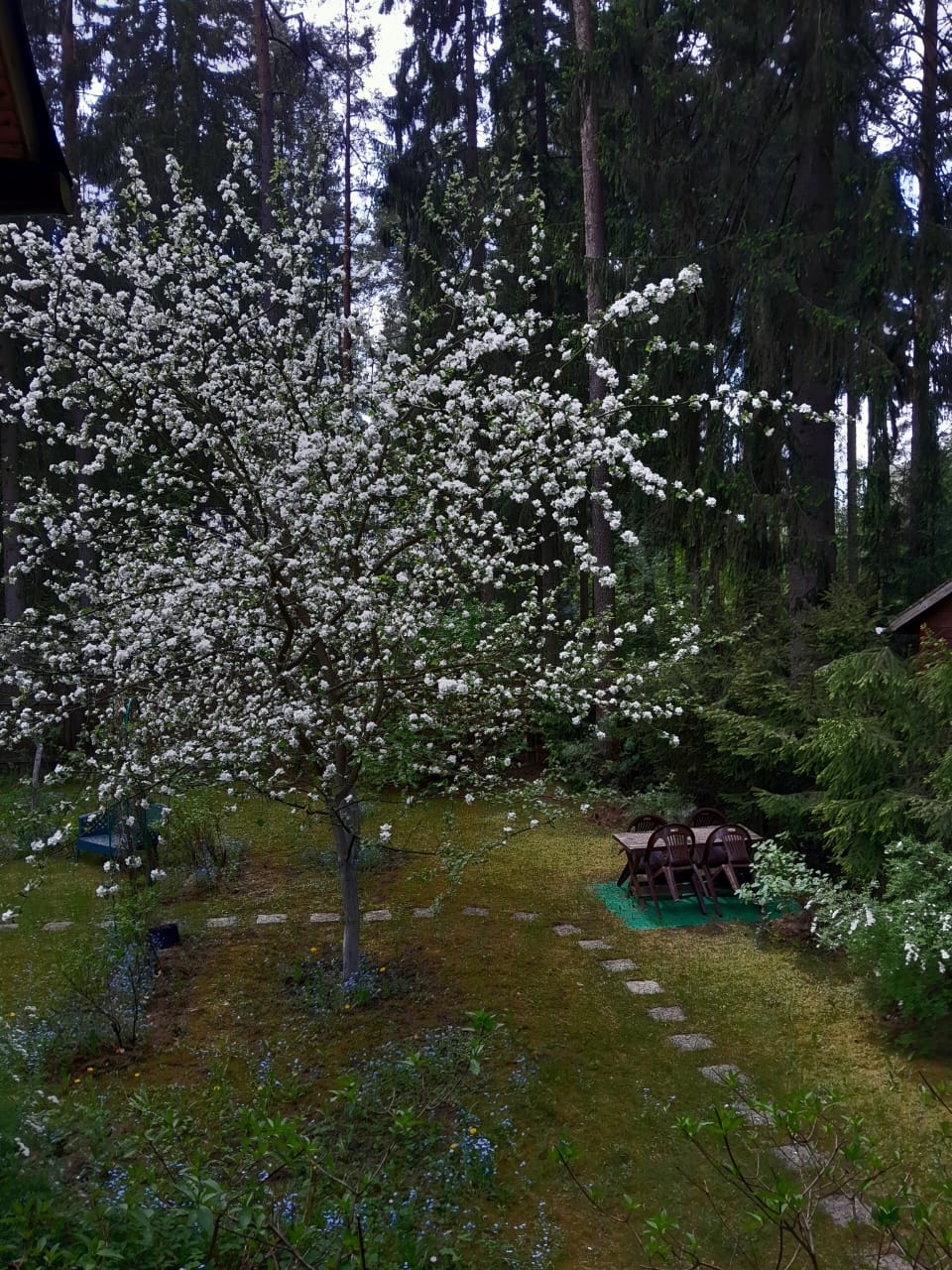 Дуновение ветерка