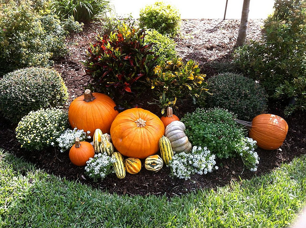 Август уходит