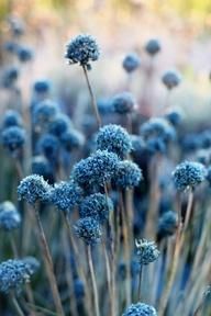 Прогулка в парке