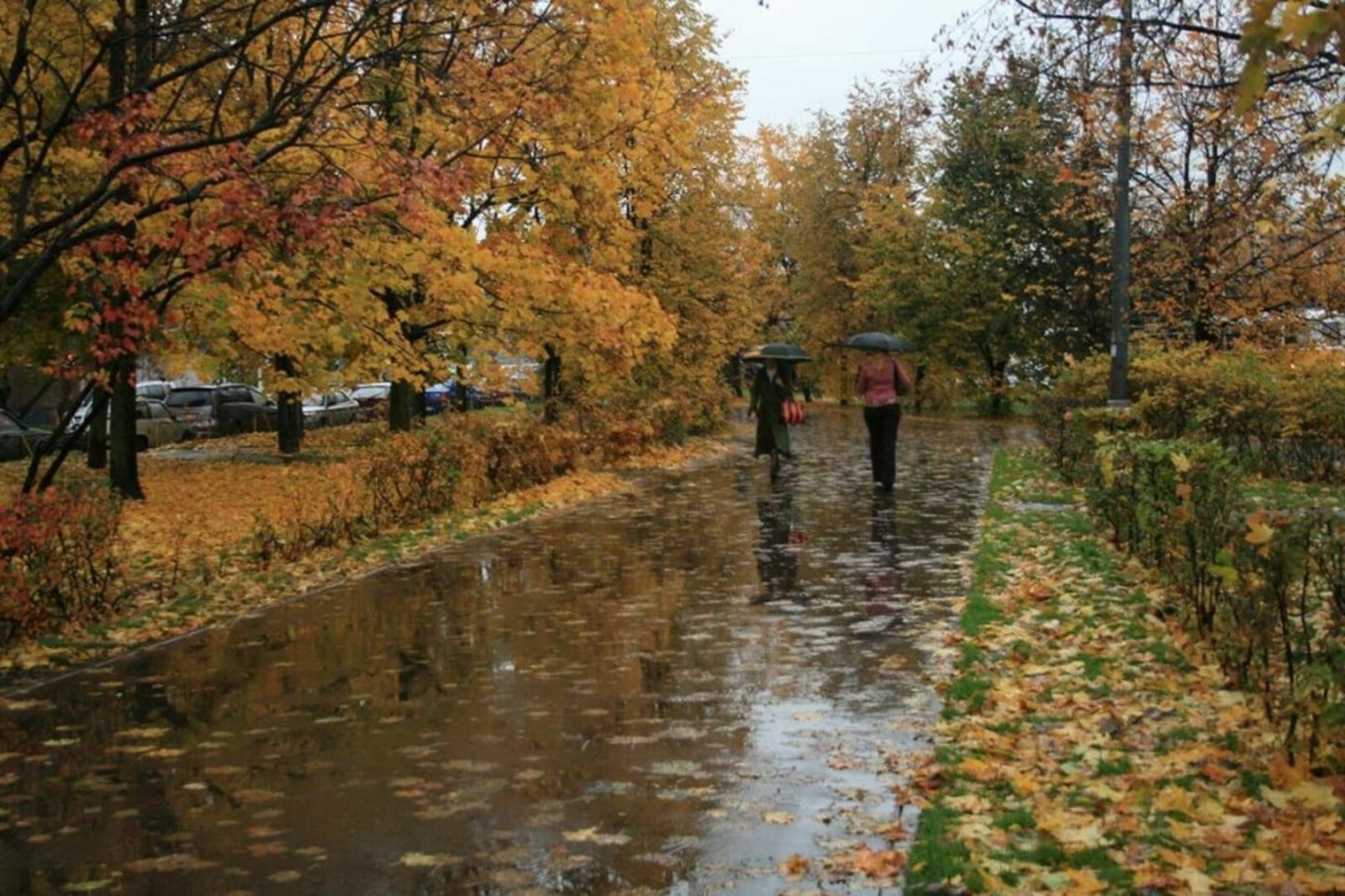 температура погода. пасмурная осень. осень город дождь. какая стоит погода осенью. осень дождь.
