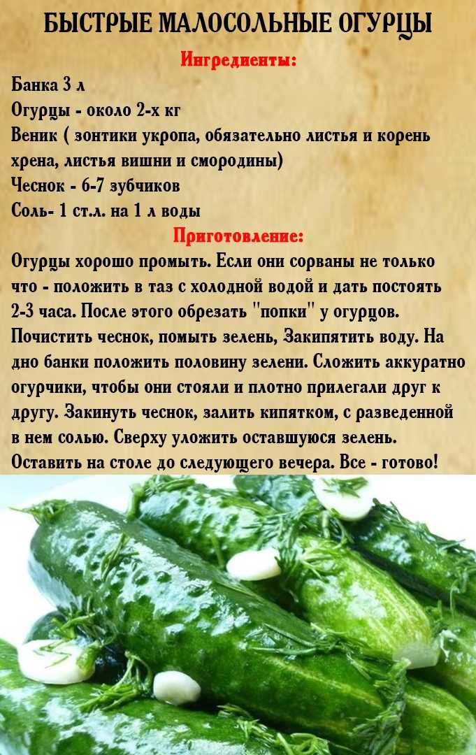 Сколько соли в свежем огурце