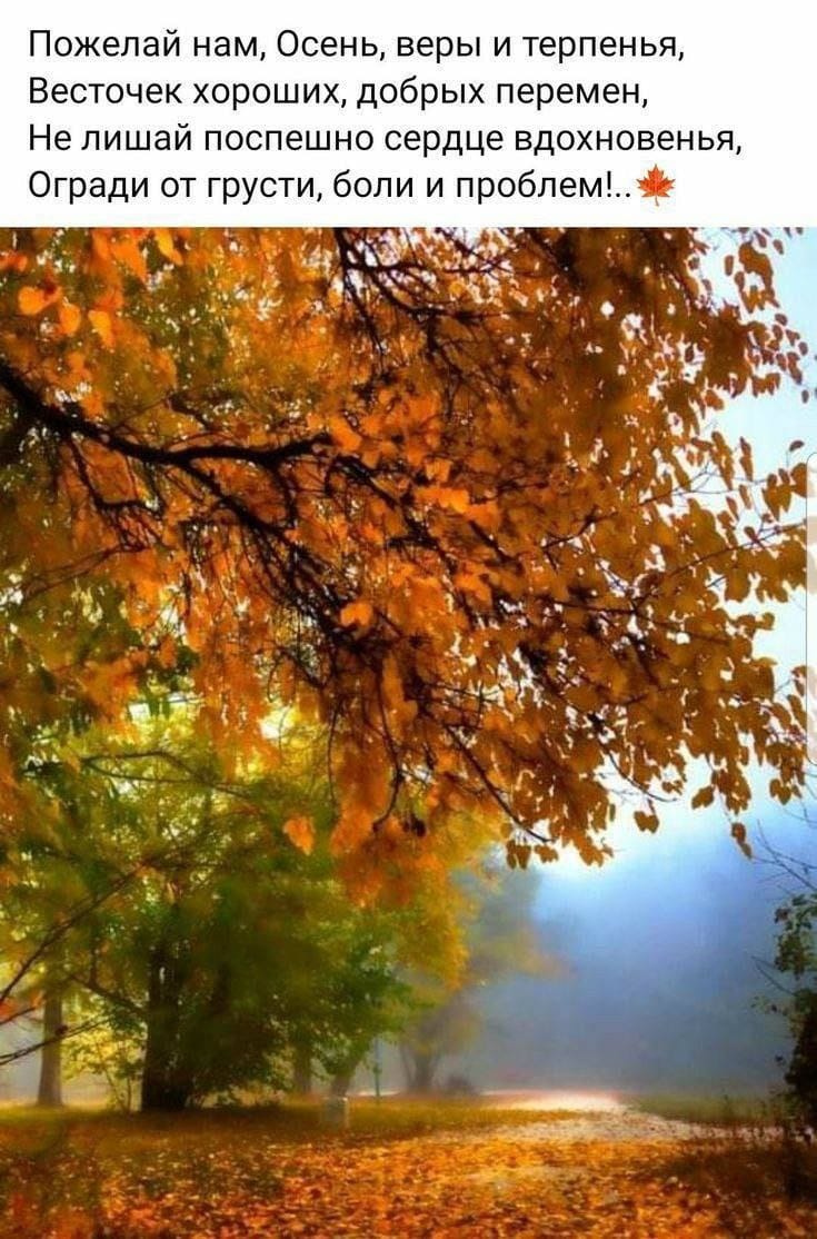 Раздайте жердёлы...