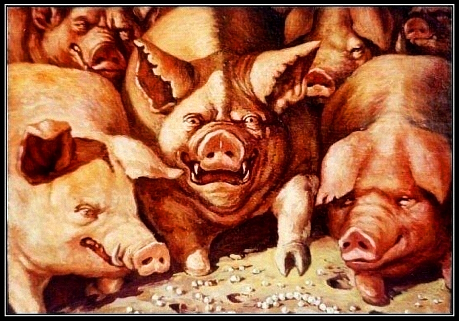 Среди свиней. Метать бисер перед.свиньями. Бисер перед свиньями. Свинья. Свиньи мечут бисер.