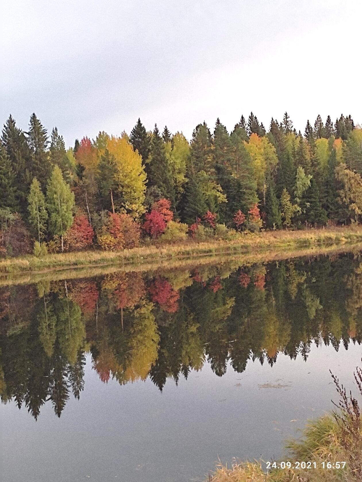 В этом городе осень