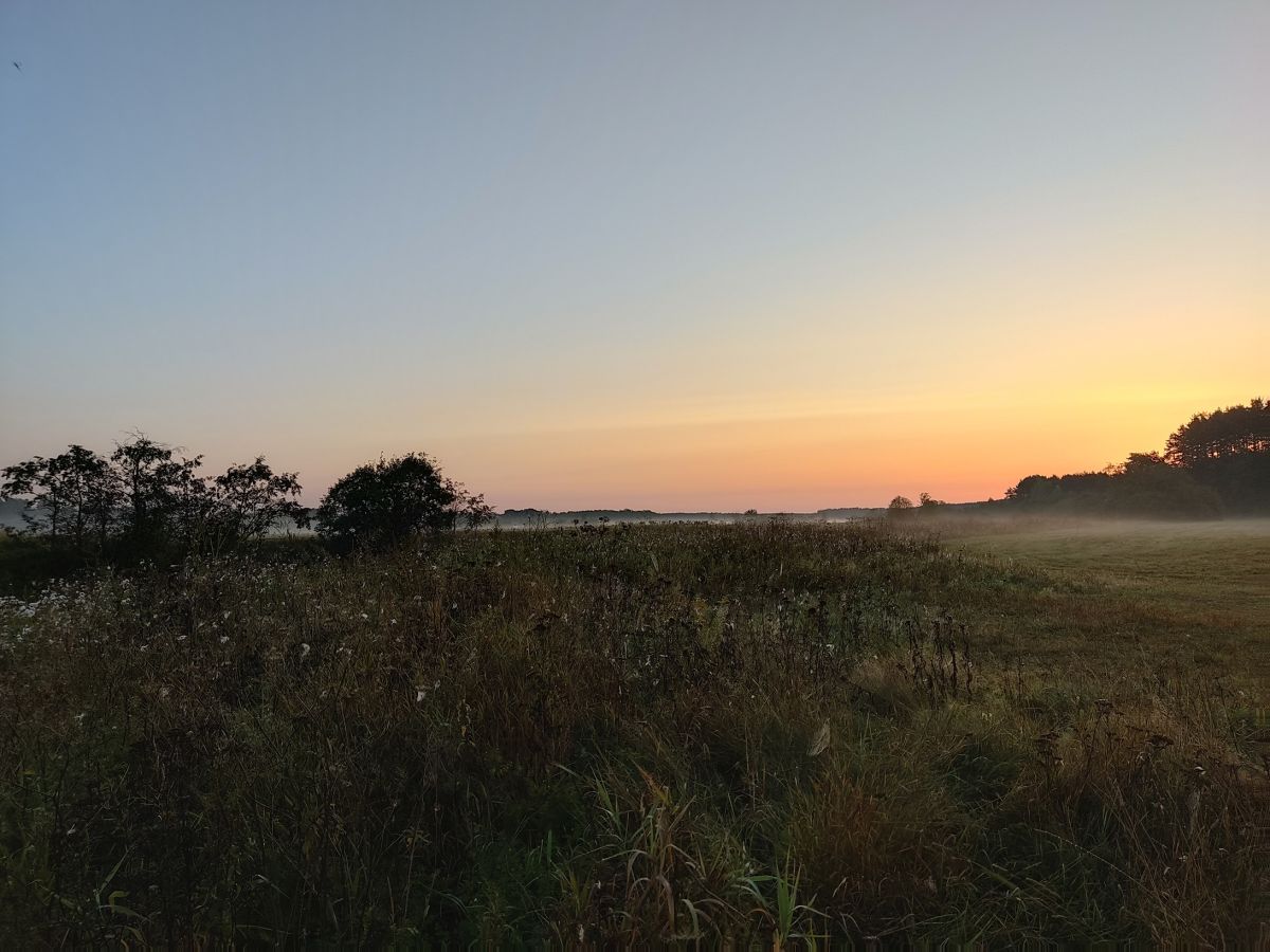 Восход до колыбели солнца прикоснулся
