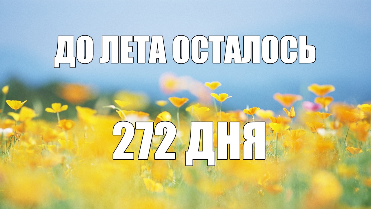1 день до лета