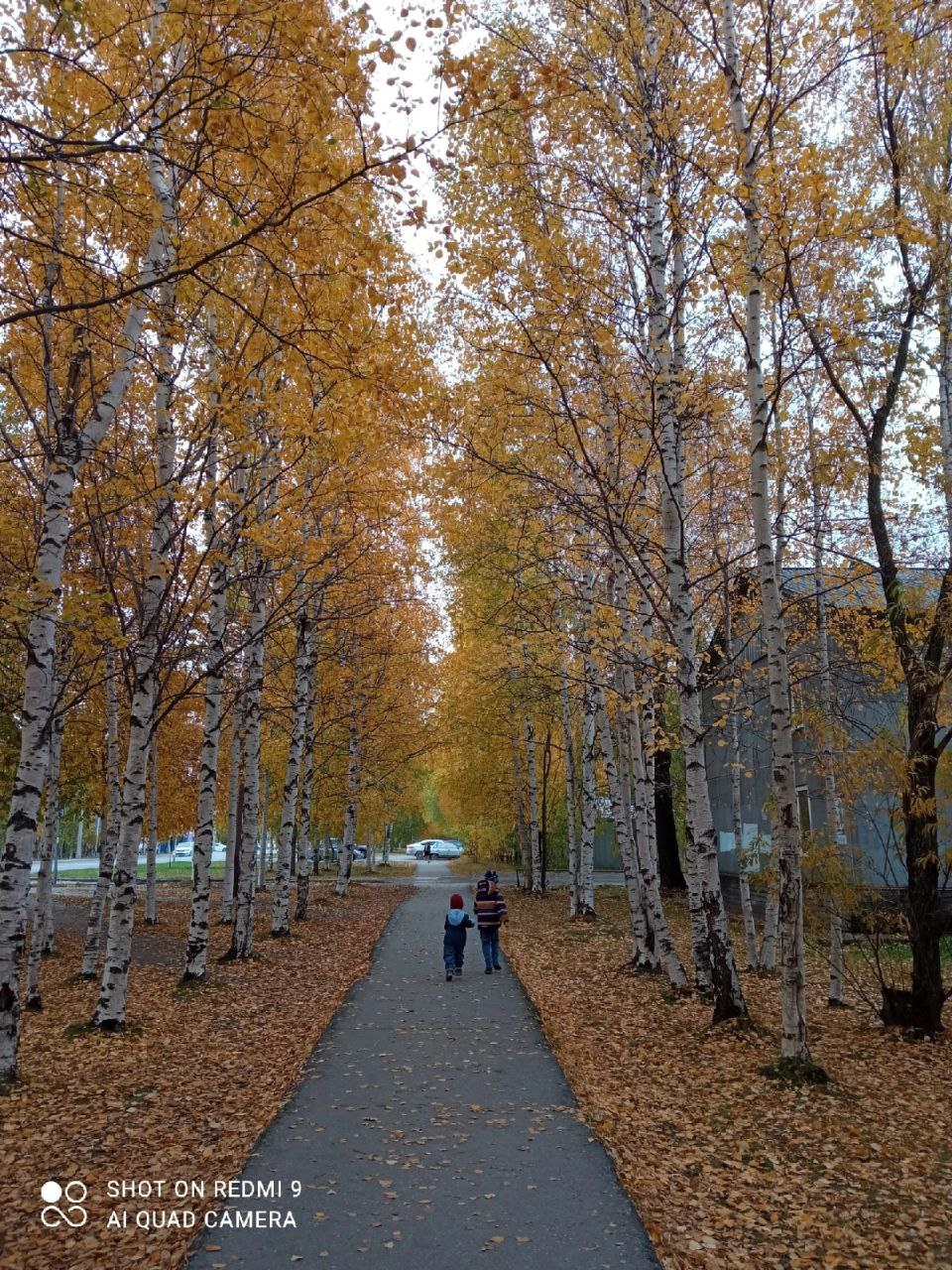 Осень, чудесная пора!